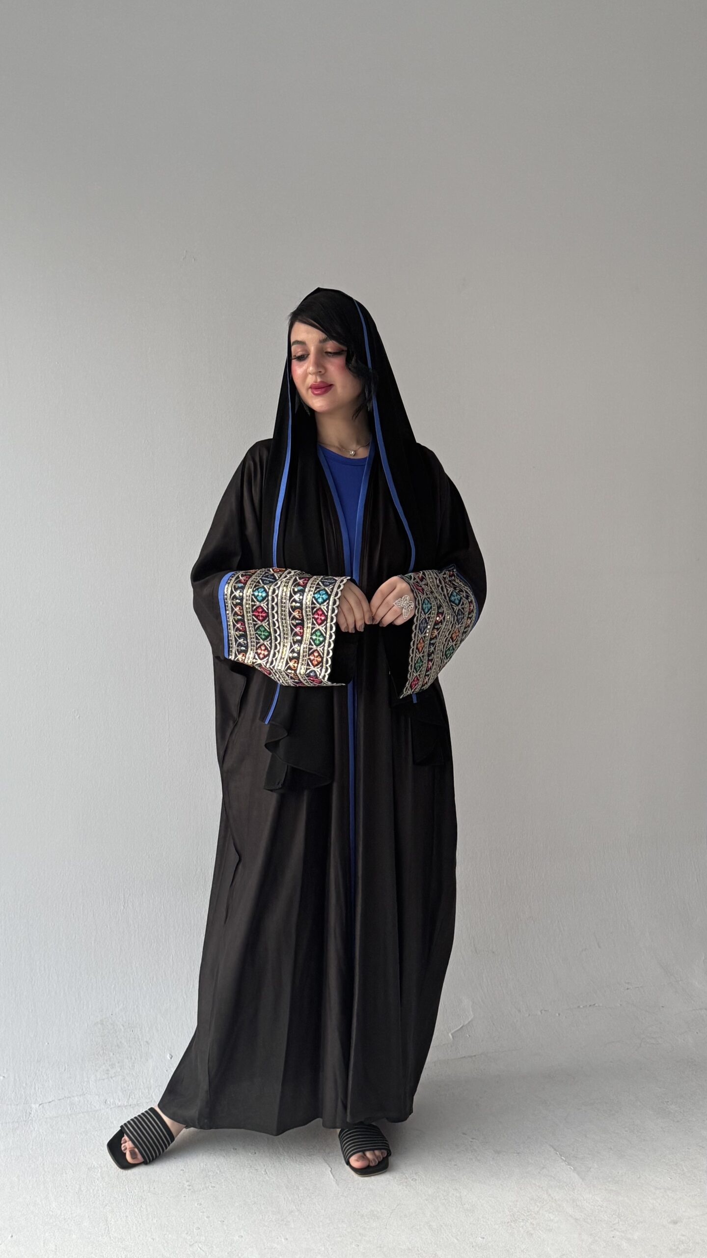 LN-04 - الصورة 2